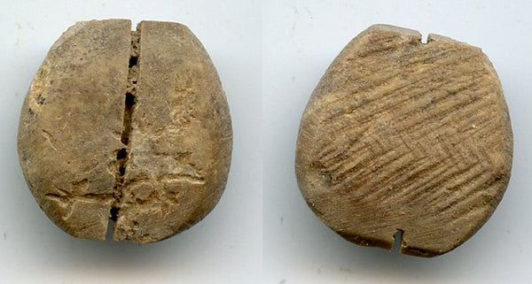 Nice bone cowrie-coin (no teeth/holes), W.Zhou dynasty (1046-771 BC), China - H#1.2