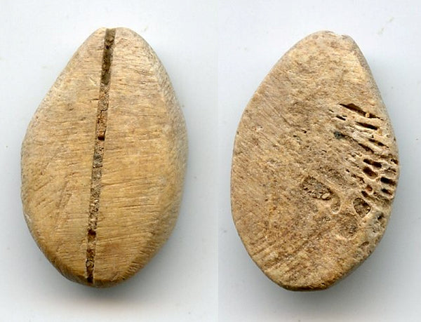 Authentic bone cowrie-coin (no teeth/holes), W.Zhou, 1046-771 BC, China (H#1.2)