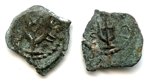 Authentic bronze prutah of King Herod (40-4 BC), Ancient Judaea