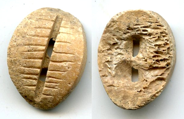 Primitive bone cowrie-coin, Western Zhou dynasty (1046-771 BC), China ...