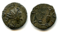 Barbarous radiate of Tetricus II w/sacrificial implements, c.270-280 AD, Roman Gaul