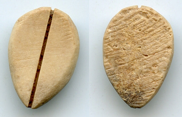Primitive bone cowrie-shell coin, W.Zhou dynasty (1046-771 BC), China - Hartill #1.2