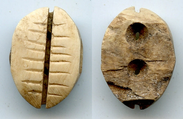 Primitive bone cowrie-shell coin, W.Zhou dynasty (1046-771 BC), China - Hartill #1.2