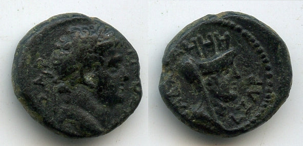 High quality AE16 of Titus as Caesar (69-79 AD), Gadara, Decapolis, Judaea