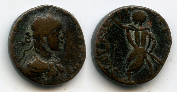 AE19, Alexander Severus (222-235 AD), Sidon, Phoenicia, Roman Provincial coins
