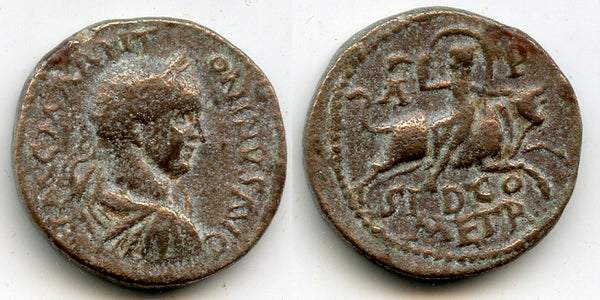 AE25, Elagabalus (218-222 AD), Sidon, Phoenicia, Roman Provincial coins