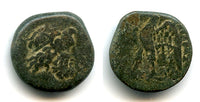 Ptolemaic AE17 (bronze hemiobol), 3rd century BC, Ptolemaic Kingdom