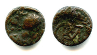 Rare nummus (AE4), King Gelimer (530-534), Carthage, Vandal Kingdom