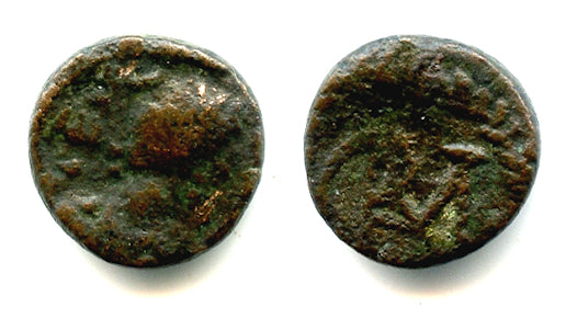 Rare nummus (AE4), King Gelimer (530-534), Carthage, Vandal Kingdom