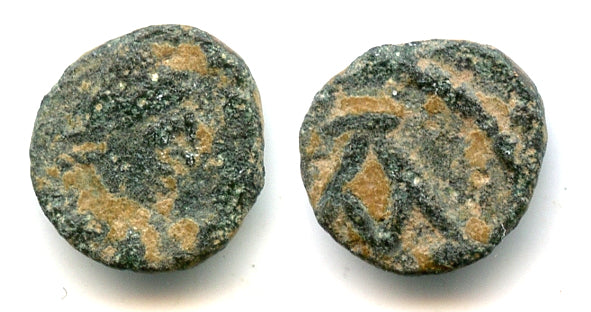 Rare nummus, King Hilderic (523-530), Carthage, Vandal Kingdom