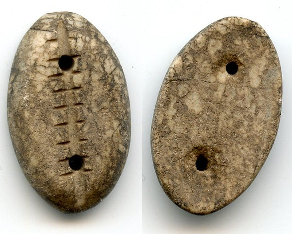 Authentic rare dark jade cowrie-shell proto-coin, 1000-500 BC, NE China