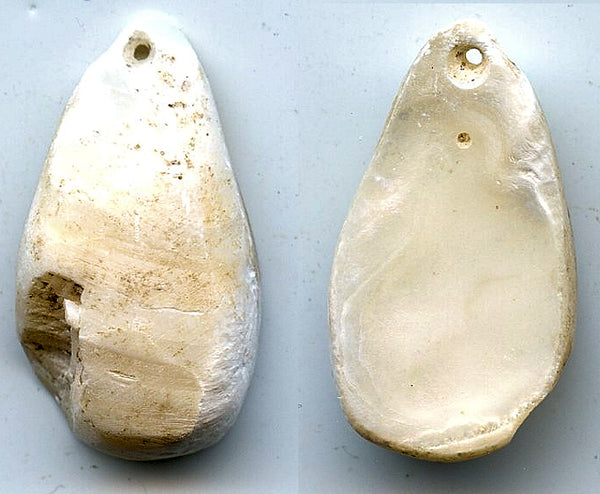 Rare archaic and primitive sea-shell cowrie-shell imitation with one hole, ca.2nd millennium BC, North-Eastern China